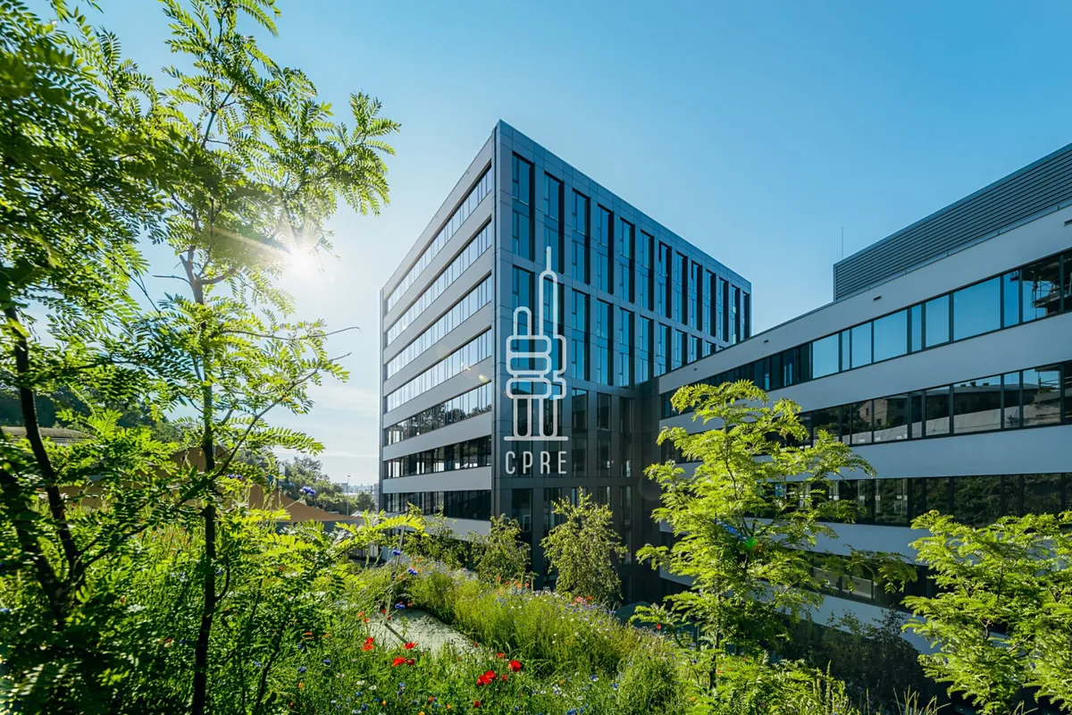 Pronájem kanceláře 300 m²